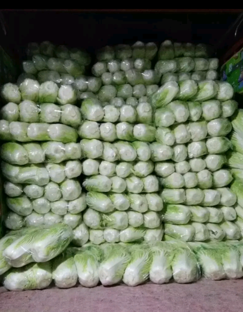 上海到夏邑專線貨運價格上海到夏邑專線貨運價格表