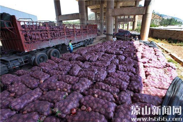 上海到?jīng)錾截涍\運輸排名上海到?jīng)錾娇爝f要多久