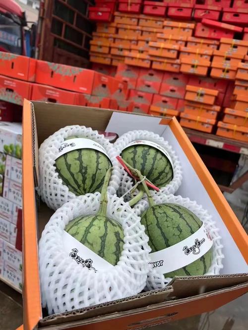 深圳機場到海吉星的貨運深圳機場到海吉星的貨運部電話