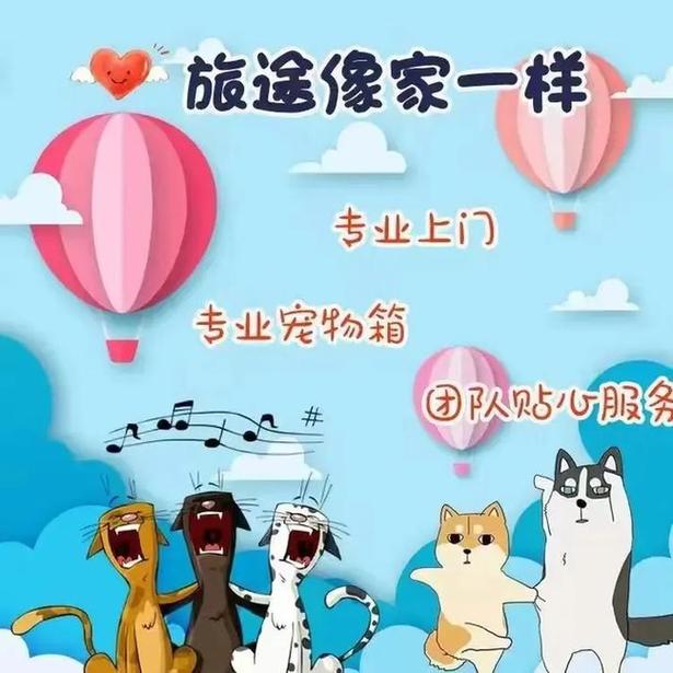 甘肅貨運寵物甘肅貨運寵物托運公司