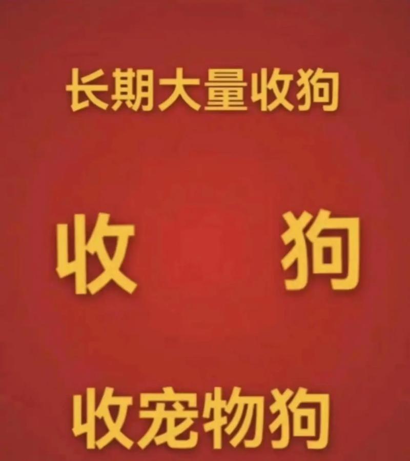 貨運(yùn)收狗貨運(yùn)狗狗需要多少錢