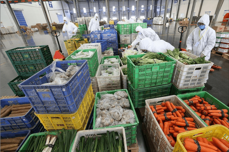 物流貨運(yùn)水果物流運(yùn)輸水果